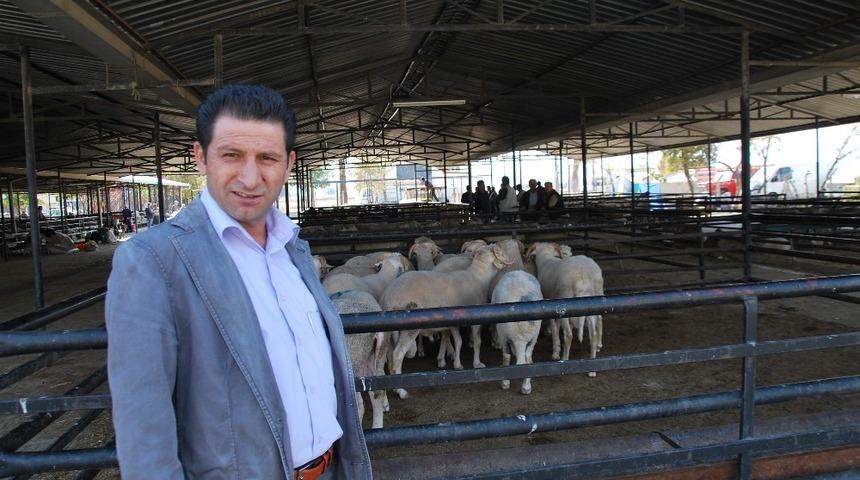 Aydın il genelinde hayvan pazarları kapatıldı