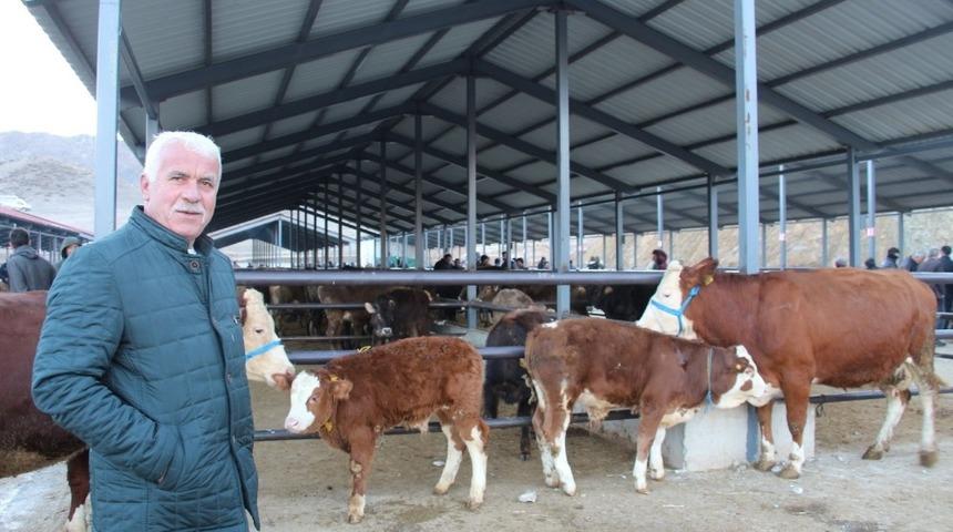 Oltu canlı hayvan pazarı kapatıldı