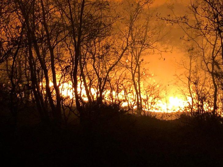 Manisa’da orman yangını büyümeden söndürüldü G1