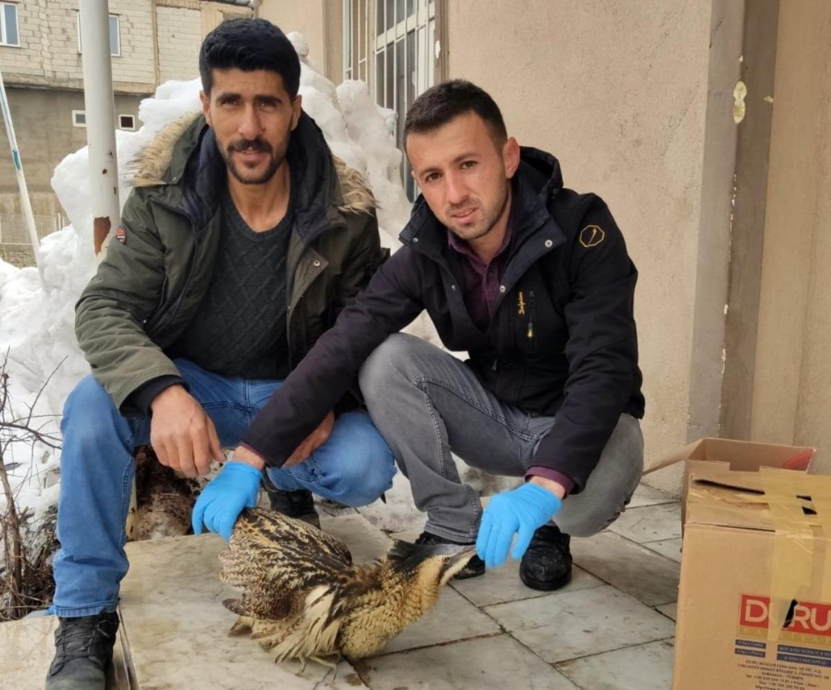 Y&uuml;ksekova&rsquo;da Hint balık&ccedil;ıl kuşu bulundu