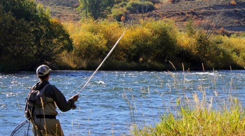 Sazangiller, Kadife, Şiraz ve Yayın balığı avlamak yasak