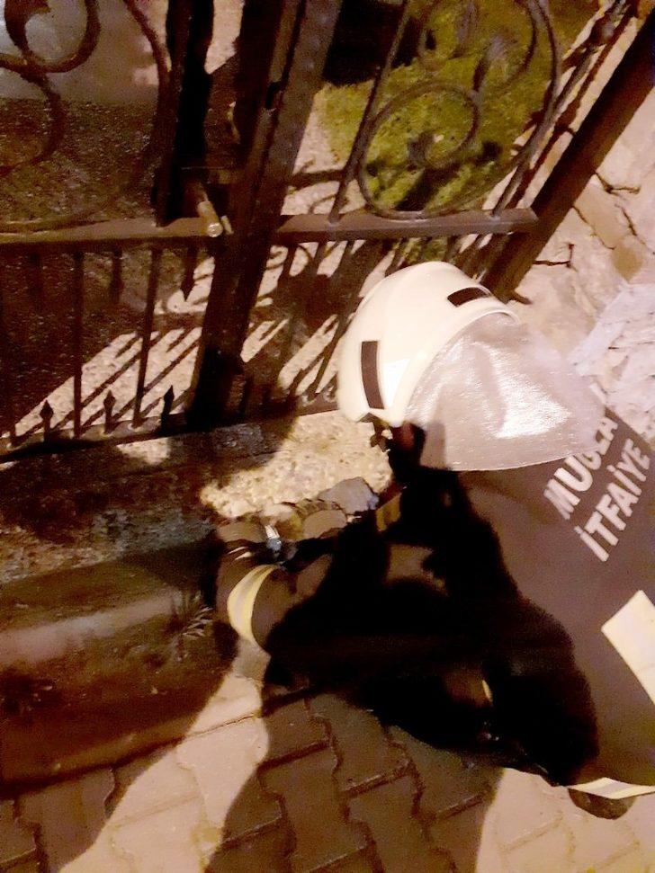 Mama kutusuna kafası sıkışan kediyi itfaiye ekipleri kurtardı G3