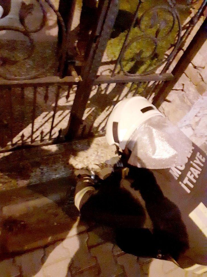 Mama kutusuna kafası sıkışan kediyi itfaiye ekipleri kurtardı G4