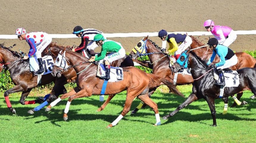 At yarışları ertelendi