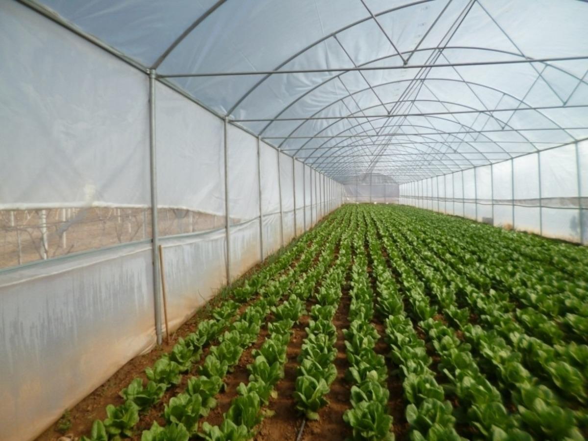 Manisa&rsquo;da &uuml;reticileri sevindirecek gelişme