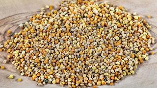 70'ten fazla faydası var: Propolis bağışıklık sisteminin en büyük destekçisi