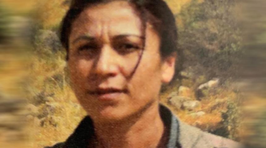 Son dakika: MİT ve TSK'dan ortak operasyon! Halide Tarı etkisiz hale getirildi