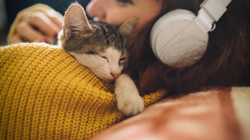 Bilim insanları: Koronavirüs evcil hayvanlar aracılığıyla bulaşmaz