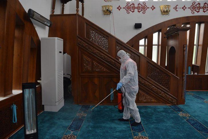 Yüzlerce noktada ilaçlama yapıldı G1