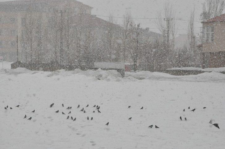 Yüksekova’da yoğun kar yağışı G3