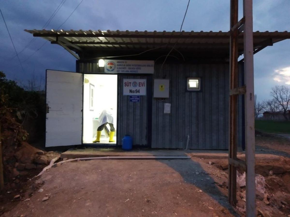 Soğutularak s&uuml;t alımı &ccedil;alışmaları sonu&ccedil; verdi