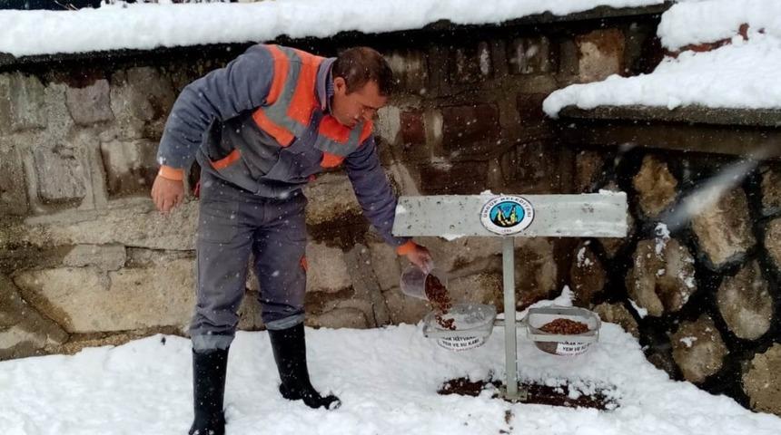 &Uuml;rg&uuml;p Belediyesi karlı havada sokak hayvanlarını unutmadı