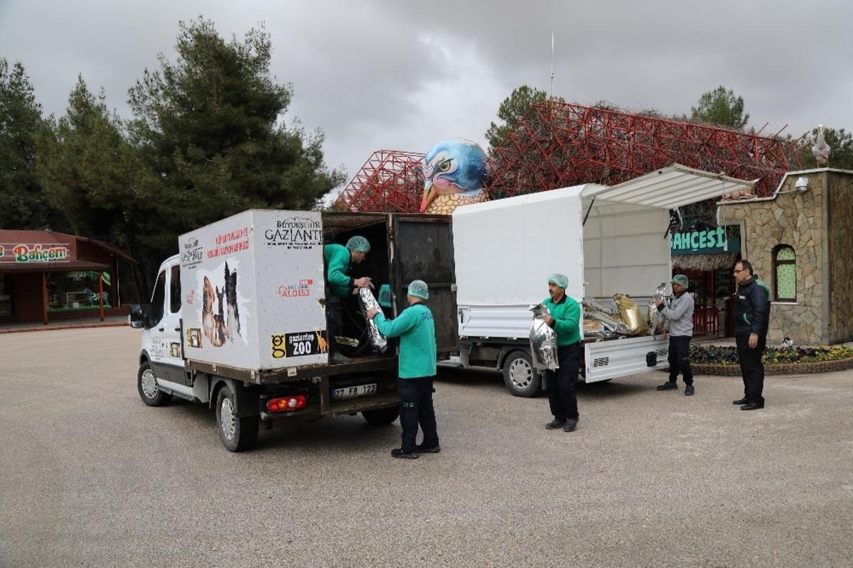 Gaziantep&rsquo;te enfeksiyonla m&uuml;cadelede sokak hayvanlarını unutmadı