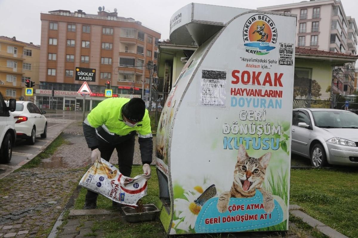 Atakum&rsquo;da can dostlar a&ccedil; kalmayacak