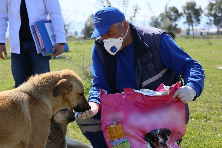 Aydın Büyükşehir Belediyesi can dostları unutmadı G1