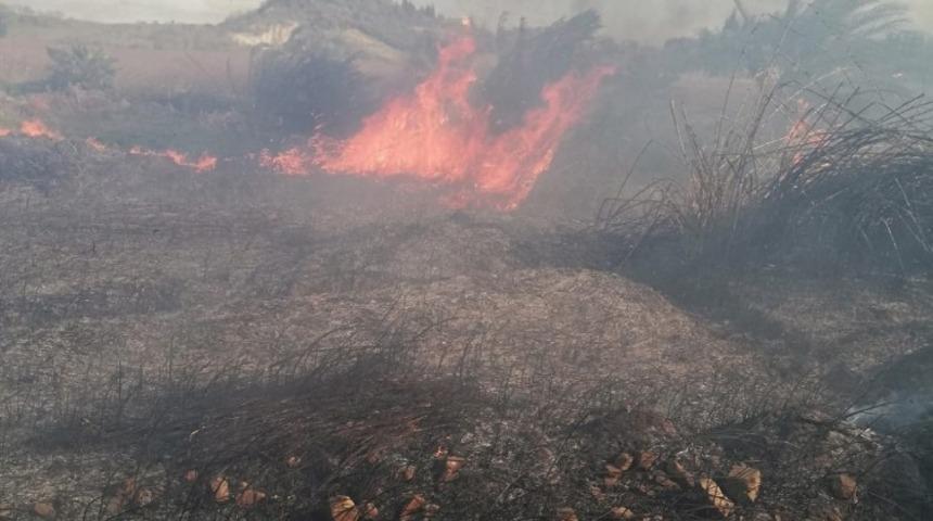 Antalya&rsquo;da sazlık yangınında 30 d&ouml;n&uuml;m alan zarar g&ouml;rd&uuml;