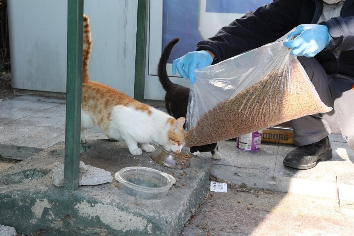 Gaziemir&rsquo;de can dostlara mama ve su desteği