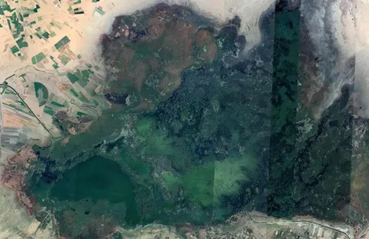 Eber Gölü'nün de suyu çürüdü G1