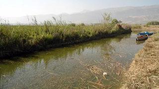 Eber Gölü'nün de suyu çürüdü