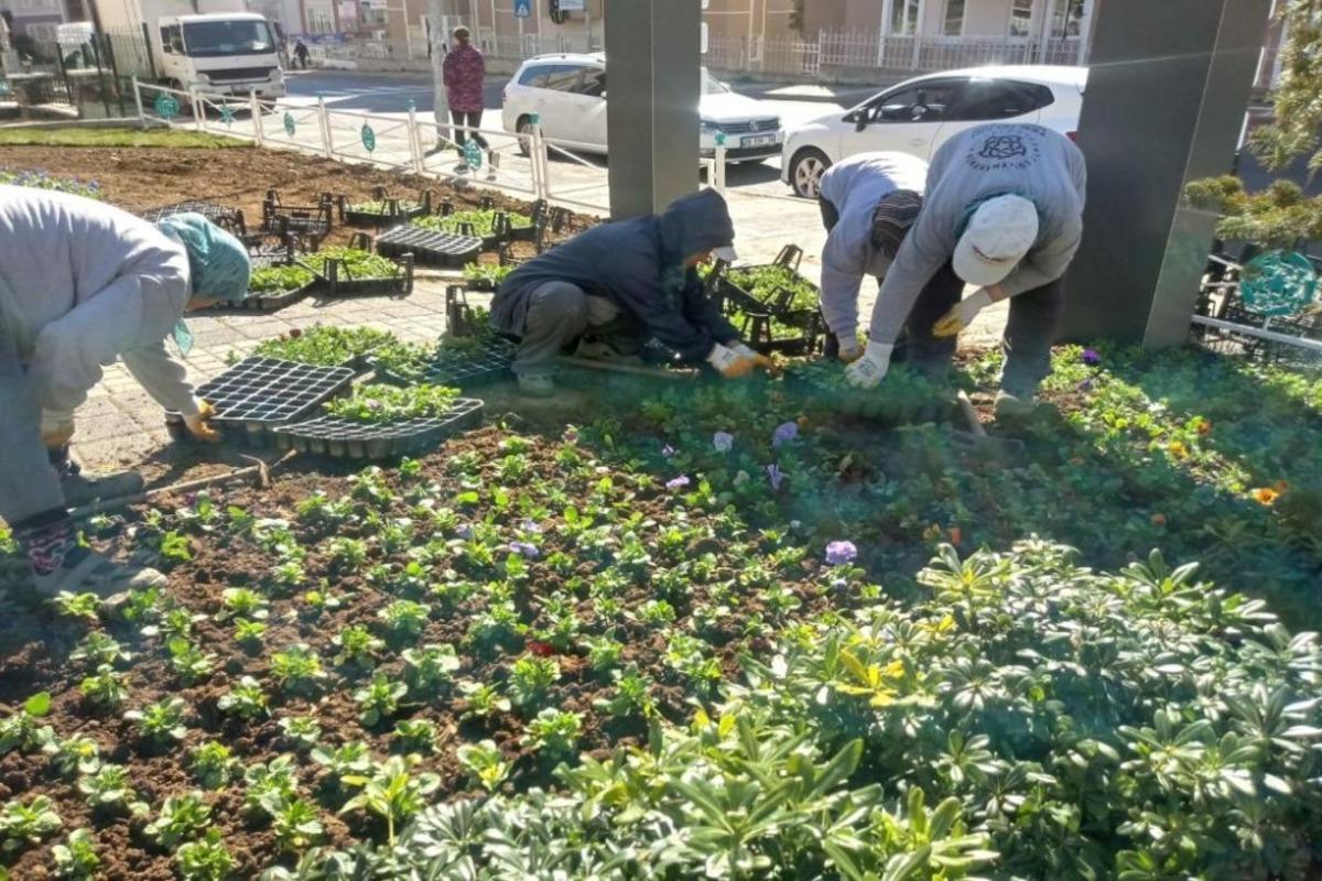 Şehir S&uuml;leymanpaşa&rsquo;da yetişen &ccedil;i&ccedil;eklerle renkleniyor