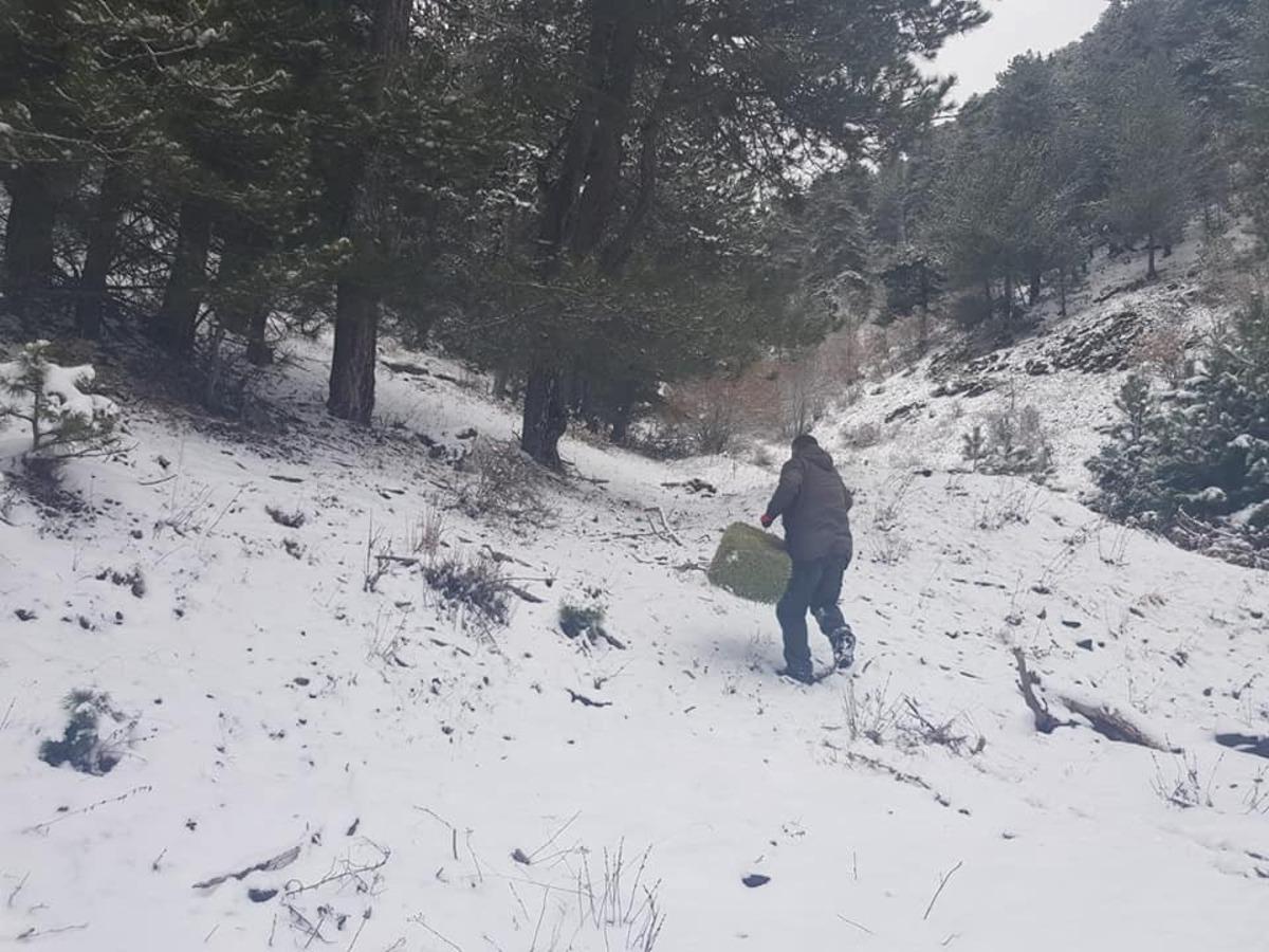 Kastamonu&rsquo;da yaban hayvanları i&ccedil;in doğaya yem bırakıldı