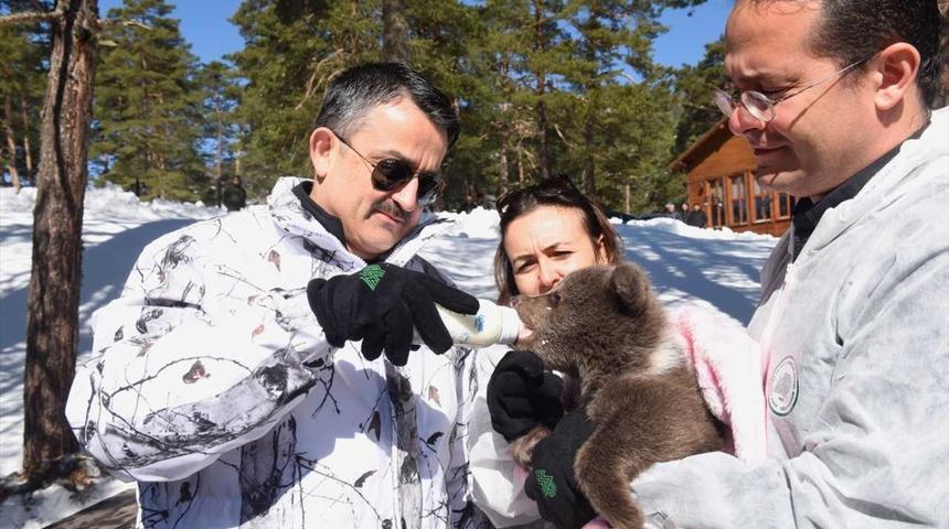 Tarım ve Orman Bakanı Bekir Pakdemirli, ayı yavrusunu biberonla besledi