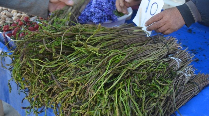 Tilkimen otu tezgahta yerini aldı