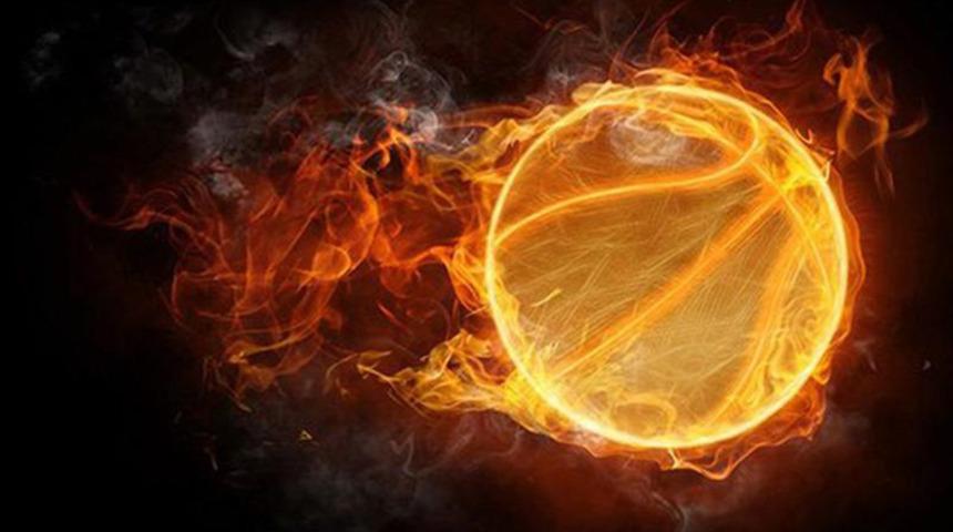 Darüşşafaka Tekfen'de Lamb ile yollar ayrıldı