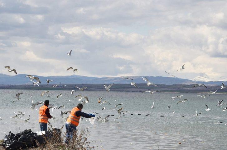 Doğadaki hayvanlara yiyecek takviyesi G3
