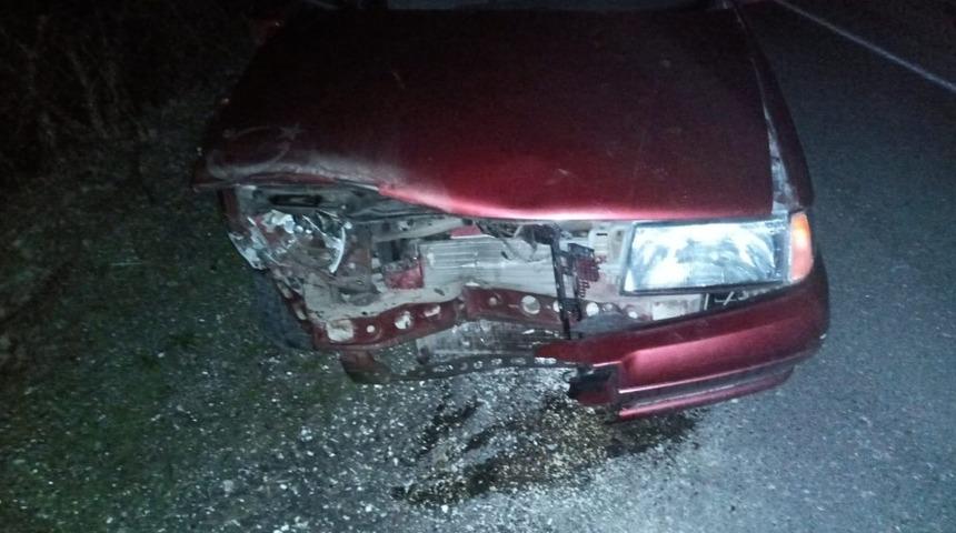 Otomobil domuz s&uuml;r&uuml;s&uuml;ne &ccedil;arptı