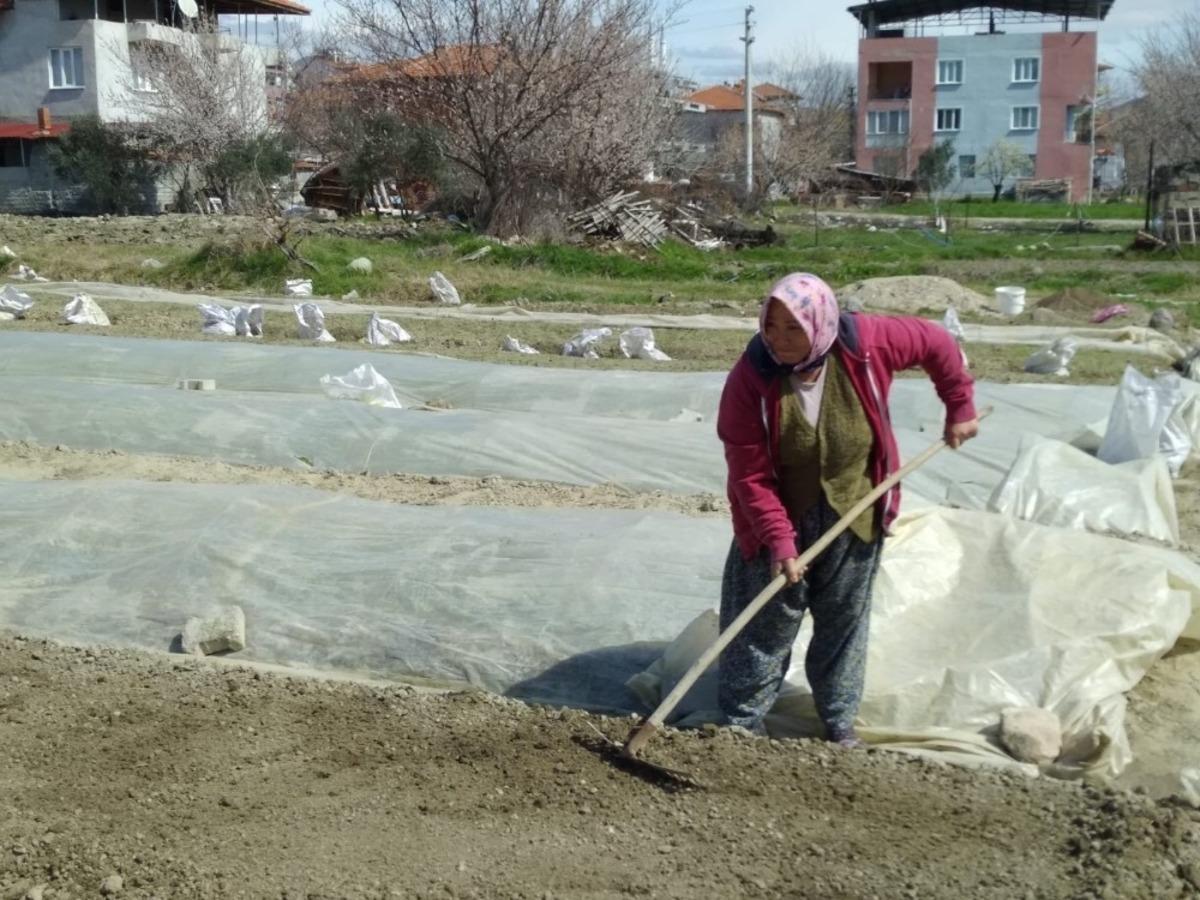 T&uuml;t&uuml;nc&uuml;lerin telaşı başladı