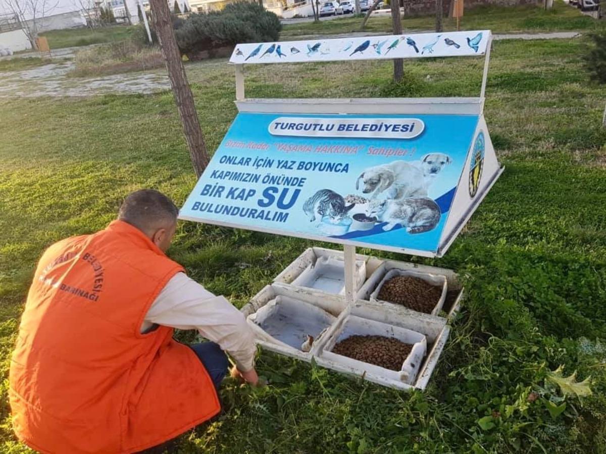 Turgutlu&rsquo;da sokak hayvanları da unutulmadı