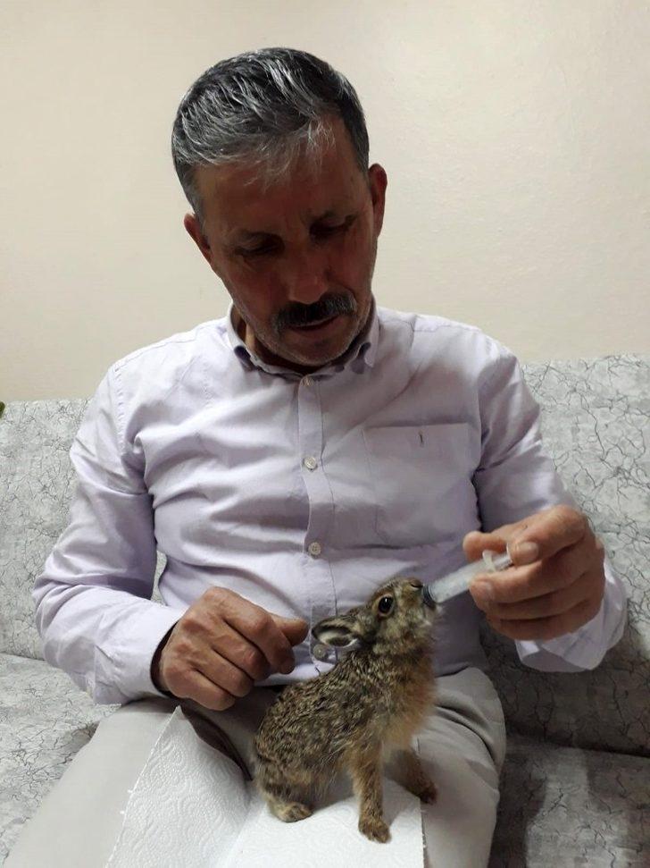 Ormanda ölmek üzereyken bulduğu tavşana gözü gibi bakıyor G2