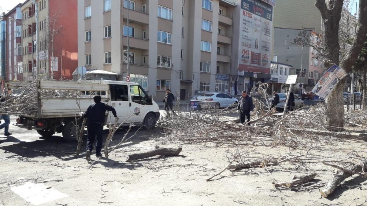 Kars&rsquo;ta belediye ağa&ccedil;ları buduyor
