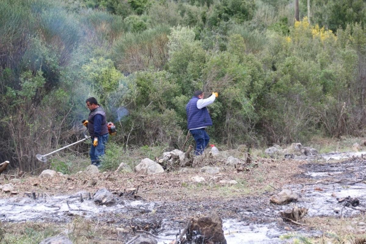 B&uuml;y&uuml;kşehir&rsquo;den mezarlıklarda bahar temizliği