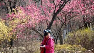 93 yaşında koronavirüsü yendi!