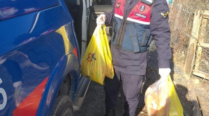 Daday&rsquo;da evinde kalan yaşlıların ihtiya&ccedil;ları jandarma tarafından karşılandı