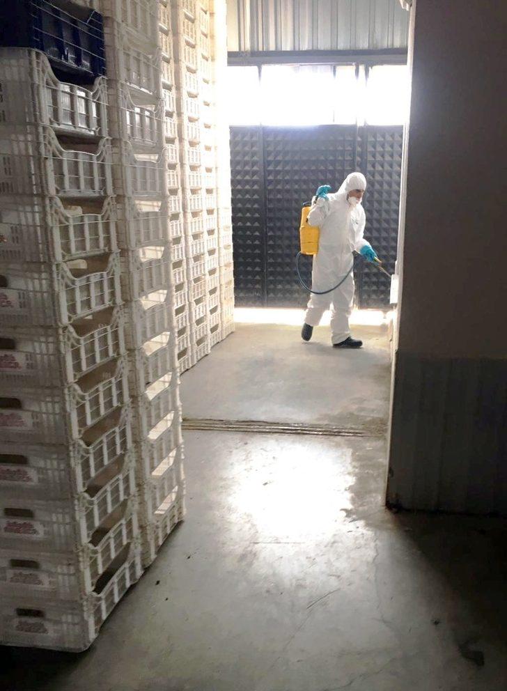 Büyükşehir Toptancı Hallerini dezenfekte ediyor G3