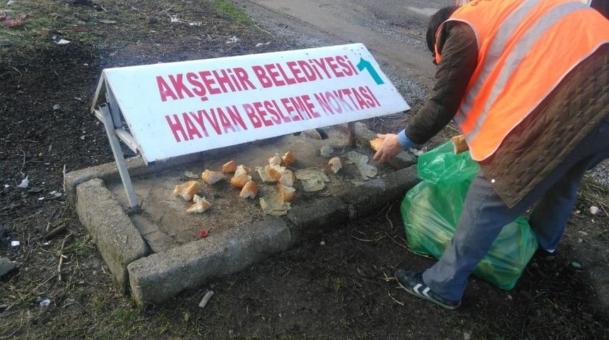 Akşehir&rsquo;de sokak hayvanları unutulmuyor