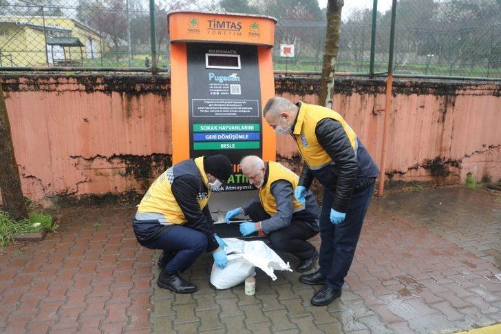 Eyüpsultan’da sokak hayvanları için besleme çalışmaları G1