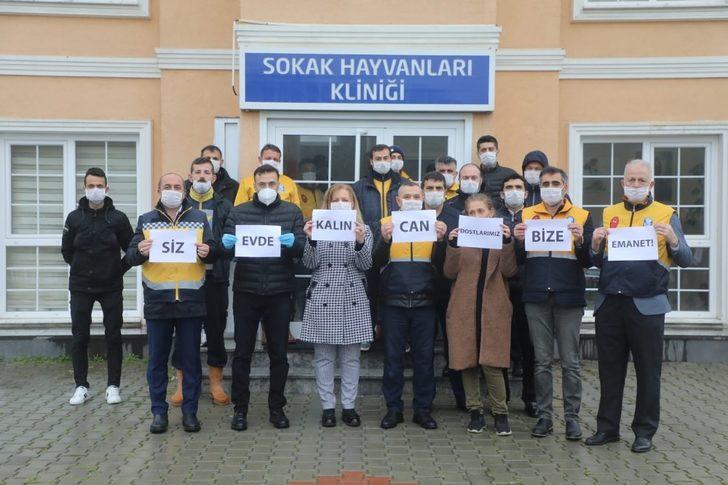 Eyüpsultan’da sokak hayvanları için besleme çalışmaları G3