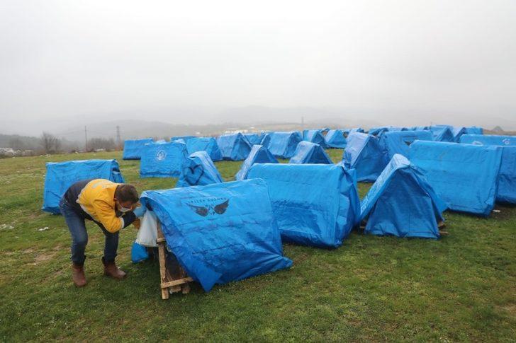 Eyüpsultan’da sokak hayvanları için besleme çalışmaları G4