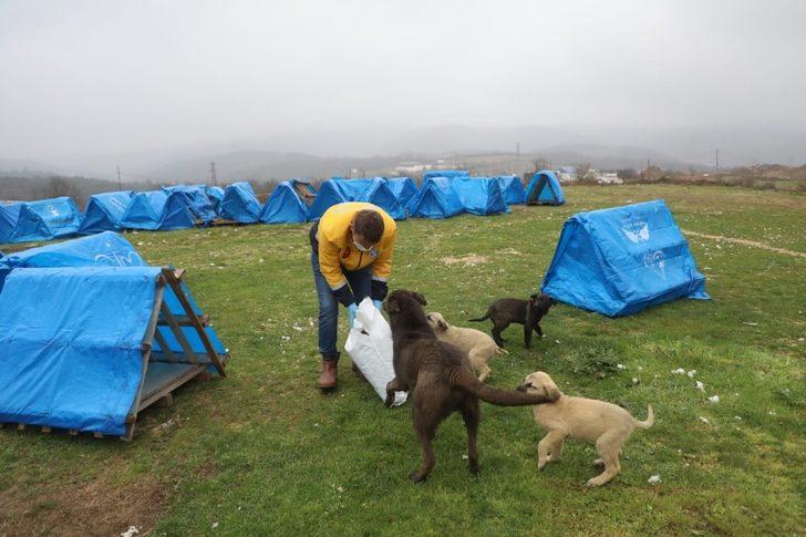 Eyüpsultan’da sokak hayvanları için besleme çalışmaları G5