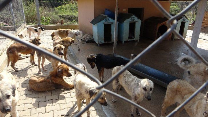 Bilgili: "Şiddetli kınıyoruz" G3