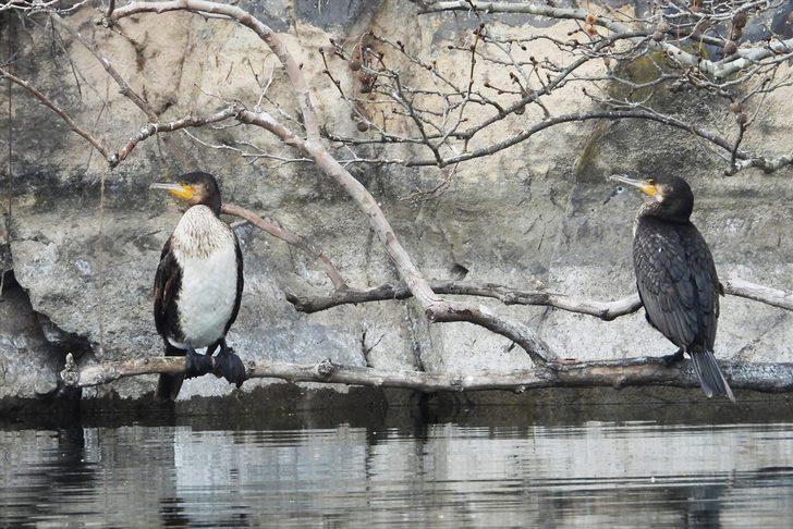 Adala Kanyonu görenleri büyülüyor G2