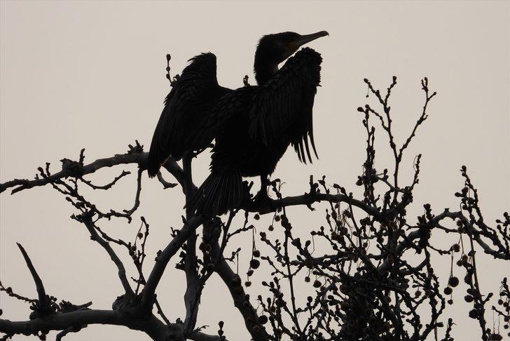 Adala Kanyonu görenleri büyülüyor G3