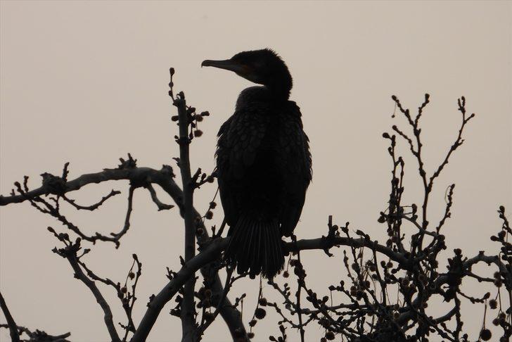 Adala Kanyonu görenleri büyülüyor G4