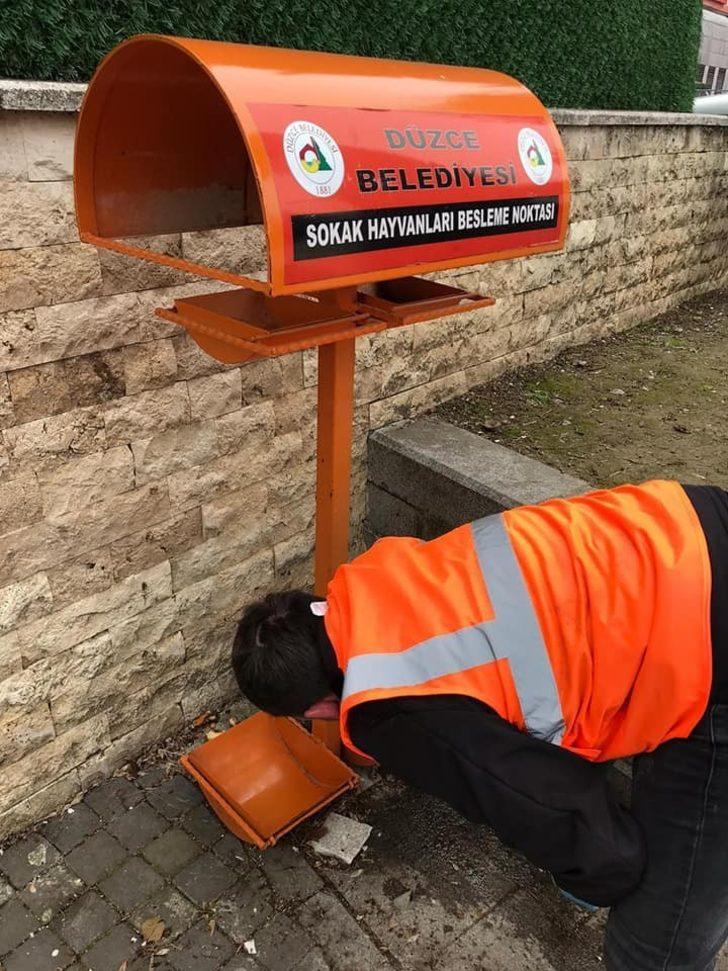Düzce Belediyesi sokak hayvanlarını unutmadı G4