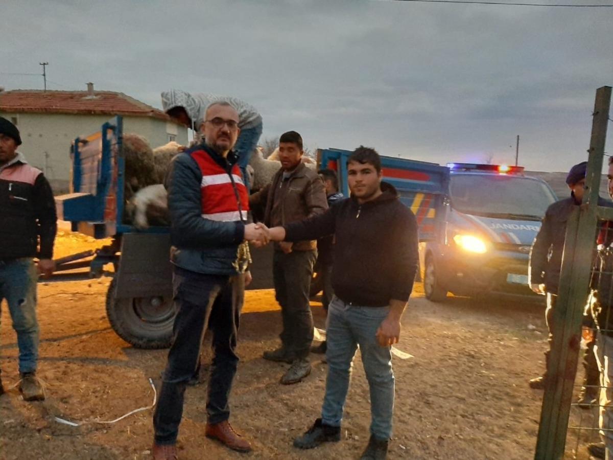 Jandarma &ccedil;alınan k&uuml;&ccedil;&uuml;kbaş hayvanları buldu sahiplerine teslim etti