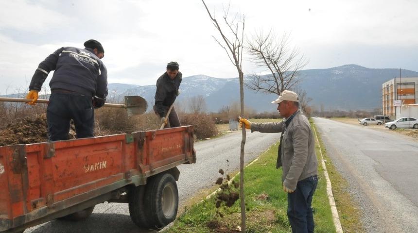 Akşehir&rsquo;de ağa&ccedil;landırma ve budama &ccedil;alışmaları s&uuml;r&uuml;yor